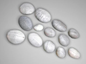 Grey and White Rocks Set 3D Model