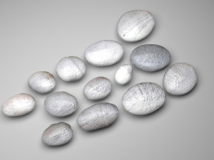 Grey and White Rocks Set 3D Модель