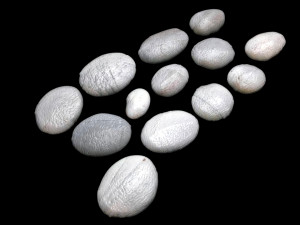 Grey and White Rocks Set 3D Модель