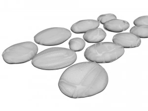 Grey and White Rocks Set 3D Model