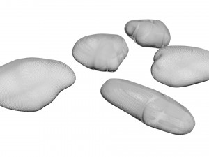 Rocks Set 3D Модель
