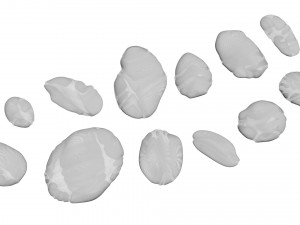 Rocks Set 3D Model