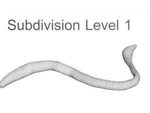 Earthworm 3D Model