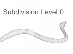 Earthworm 3D Model