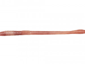 Straight Earthworm 3D Модель