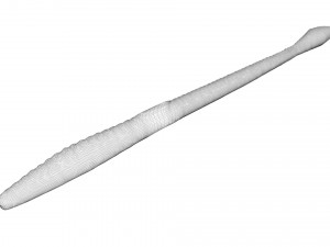 Straight Earthworm 3D Модель