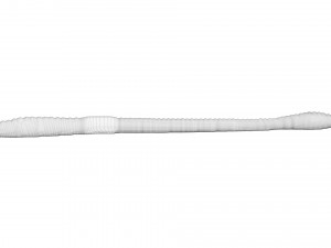 Straight Earthworm 3D Модель