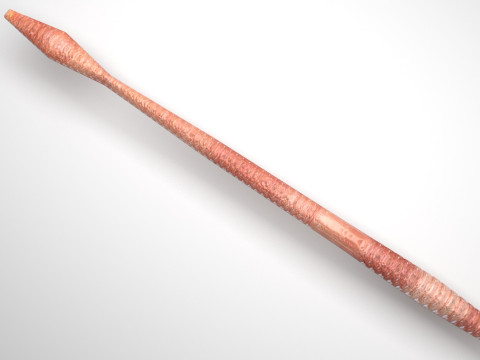Straight Earthworm 3D 모델