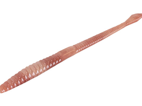 Straight Earthworm 3D 모델