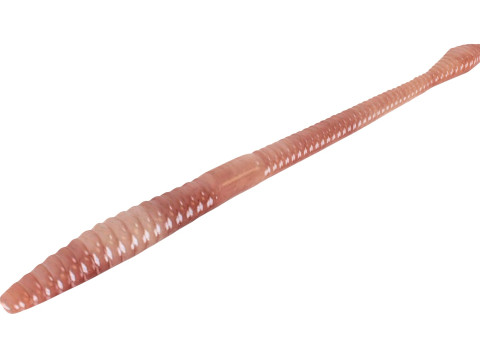 Straight Earthworm 3D 모델