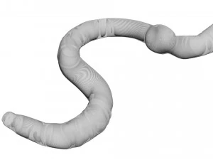 Earthworm 3D Model