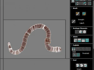 Earthworm 3D Model