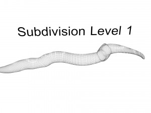 Earthworm 3D Model