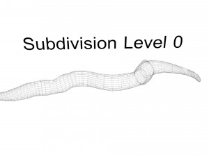 Earthworm 3D Model