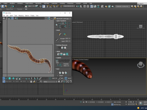 Earthworm 3D Model