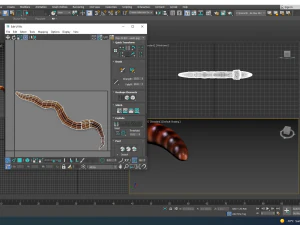 Earthworm 3D Model