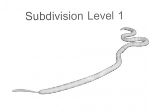 Roundworm Modello 3D