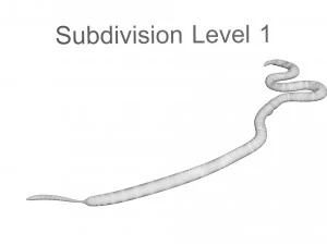 Roundworm 3D Model