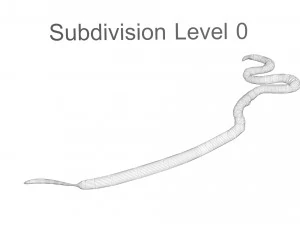 Roundworm 3D Model