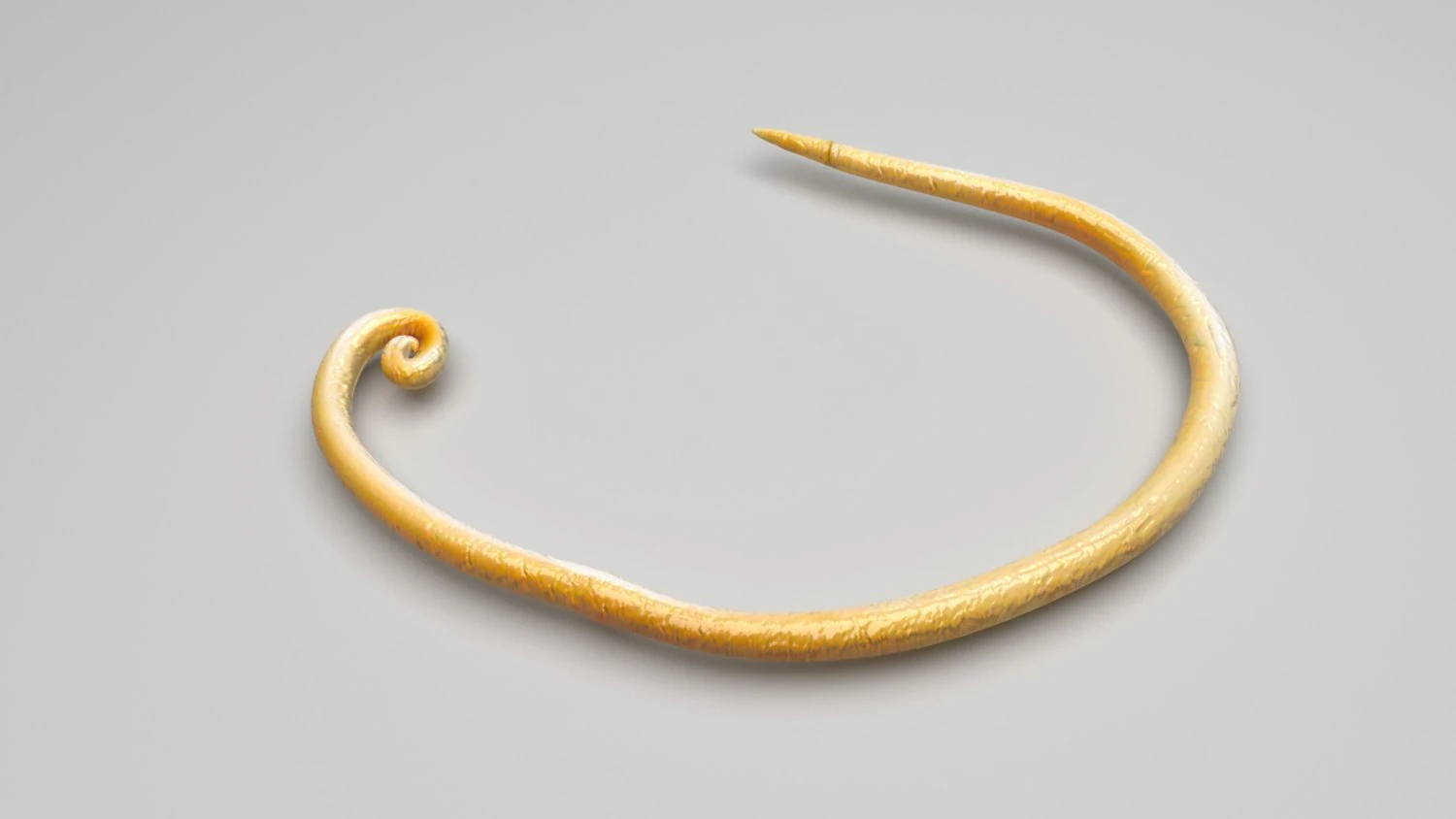 Whipworm 3D Model .c4d .max .obj .3ds .fbx .stl .blend