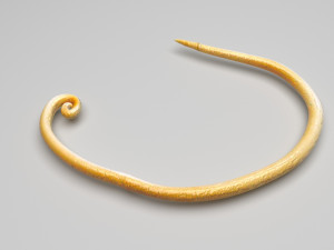 Whipworm Modelo 3D