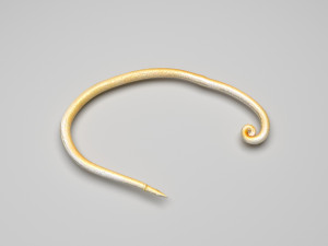 Whipworm Modèle 3D