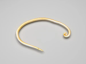 Whipworm 3D Model