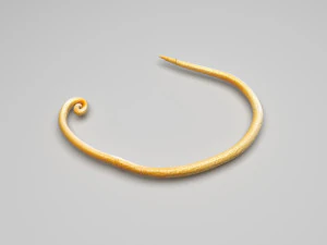 Whipworm 3D Model