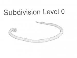Whipworm 3D Model