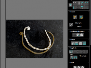 Whipworm Modèle 3D