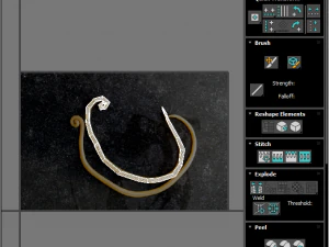 Whipworm 3D Model
