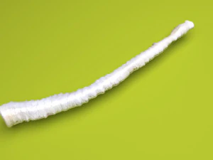 Tapeworm 3D Model