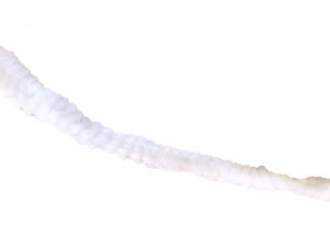 Tapeworm 3D मॉडल
