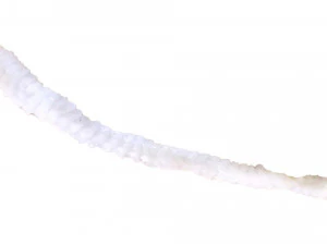 Tapeworm 3D Model