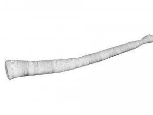 Tapeworm 3D Model