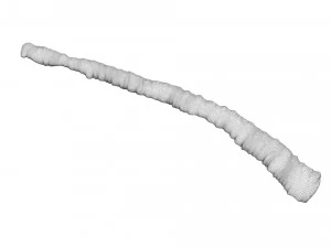 Tapeworm 3D Model