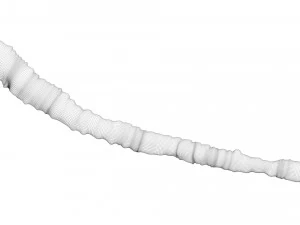 Tapeworm 3D Model