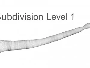 Tapeworm 3D Model