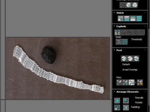 Tapeworm 3D Model