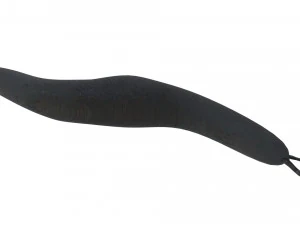 Flatworm 3D Model