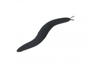 Flatworm Model 3D