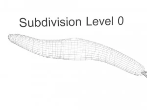 Flatworm 3D Model