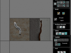 Flatworm Model 3D