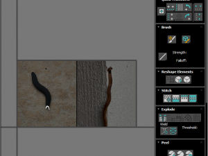 Flatworm Model 3D
