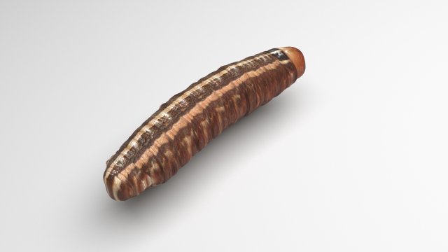 Cutworm 3D मॉडल .c4d .max .obj .3ds .fbx .stl .blend 