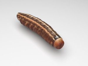 Cutworm 3D मॉडल