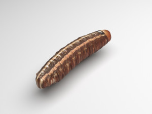 Cutworm 3D मॉडल
