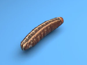 Cutworm 3D Model