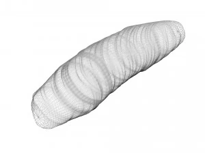Cutworm 3D Model