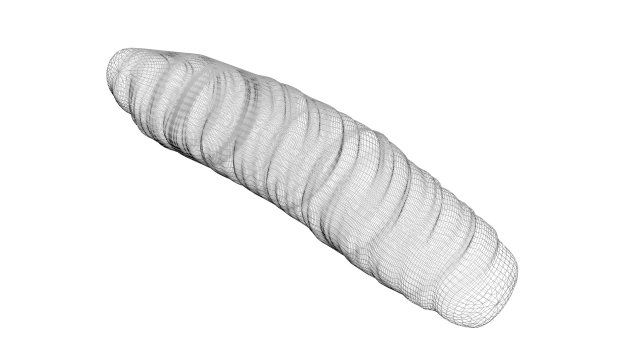 Cutworm 3D Model in Insects 3DExport